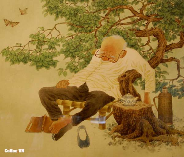 Phụ Mẫu Liên Quan Gì Tới Tật Ách - Cụ Thiên Lương